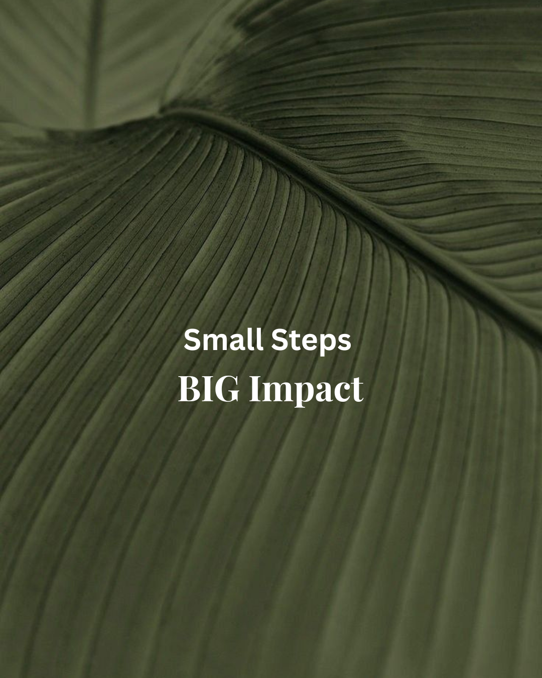 Small Steps, Big Impact: How Circular Tech Is Reducing E-Waste - Together